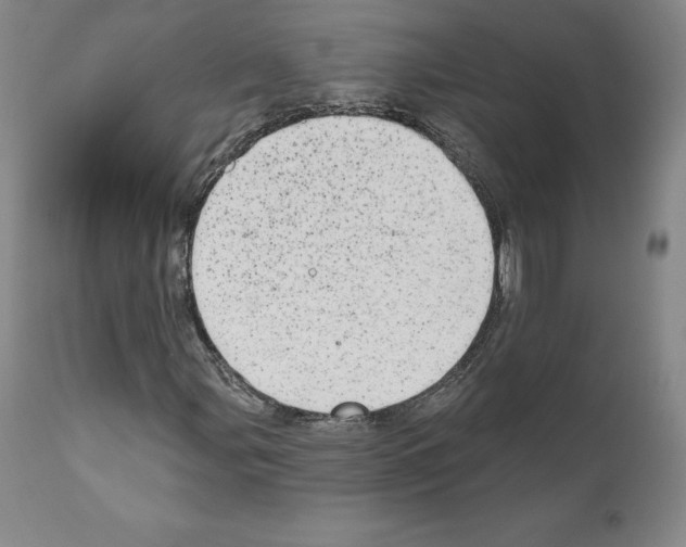 X0000110961107200907311059