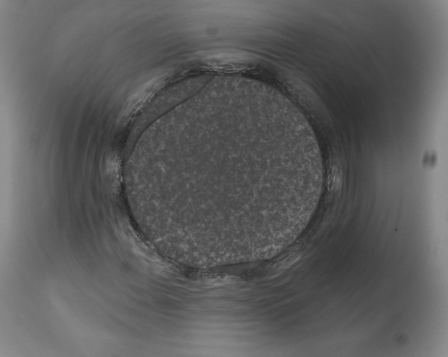 X0000110961108200907311059