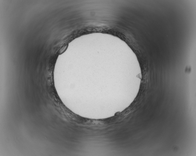 X0000110961109200907311059