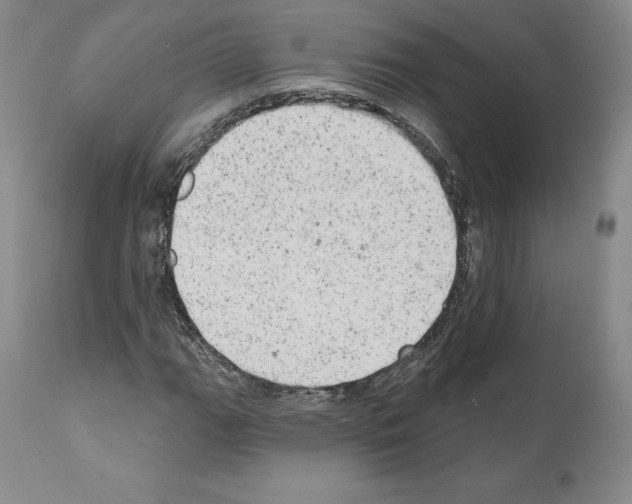 X0000110961111200907311059