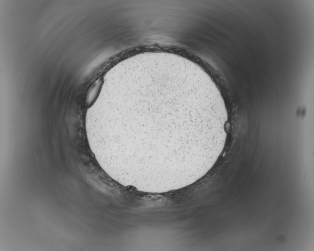 X0000110961112200907311059