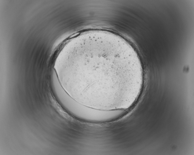 X0000110961114200907311059