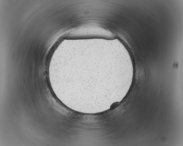 X0000110961116200907311059