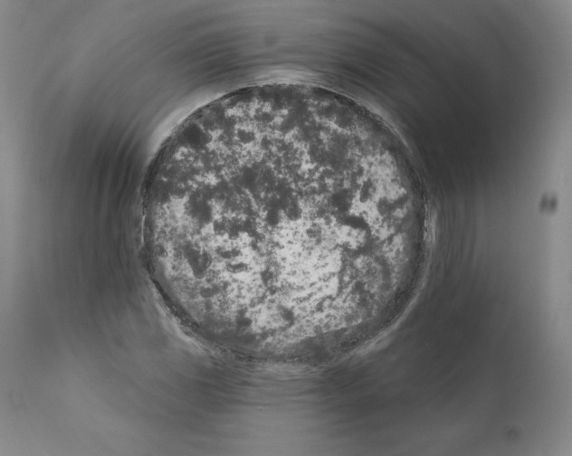 X0000110961117200907311059