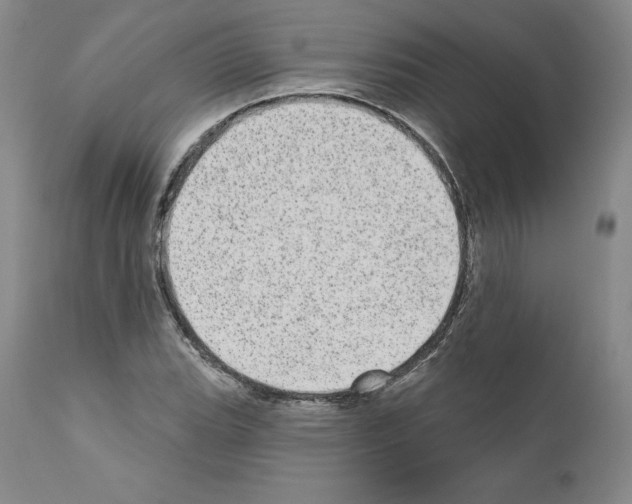 X0000110961119200907311059