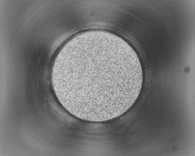 X0000110961120200907311059