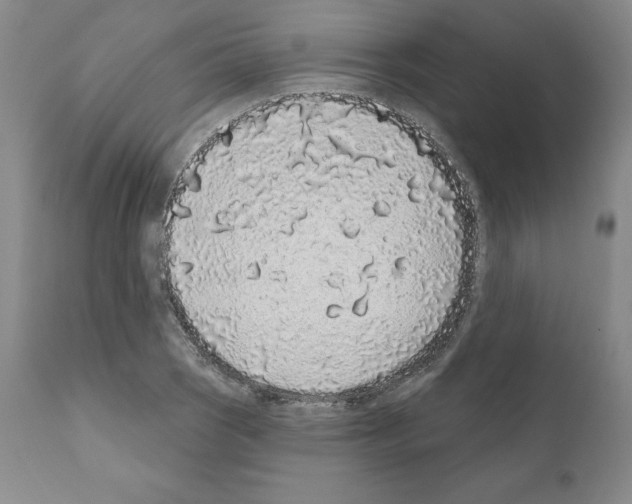 X0000110961121200907311059