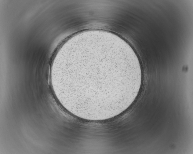 X0000110961123200907311059