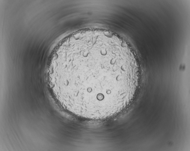 X0000110961125200907311059