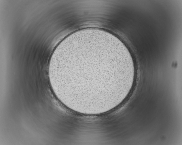 X0000110961129200907311100