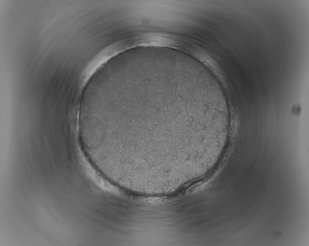 X0000110961130200907311100