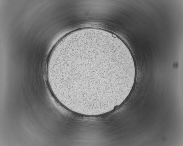 X0000110961131200907311100