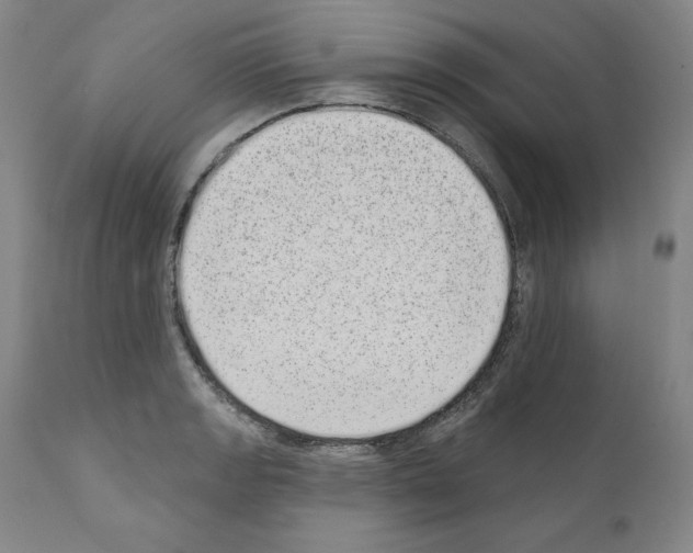 X0000110961133200907311100