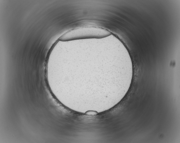 X0000110961134200907311100
