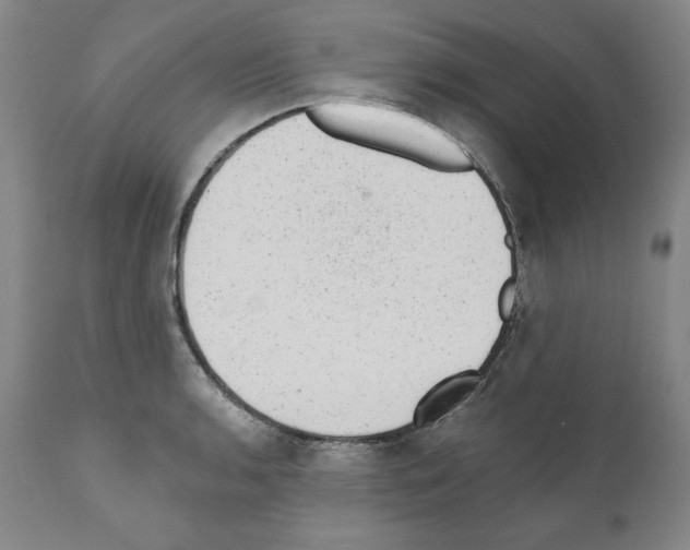 X0000110961136200907311100