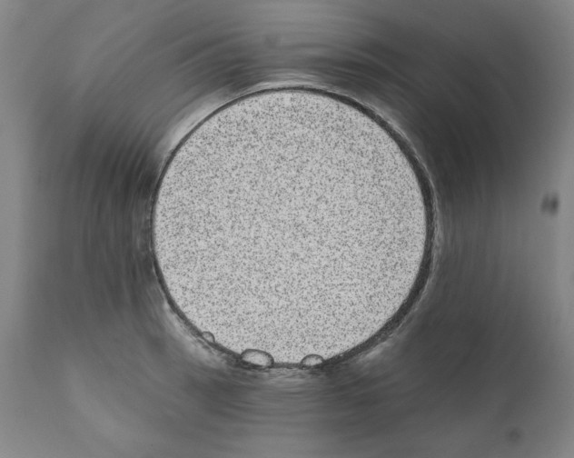 X0000110961137200907311100
