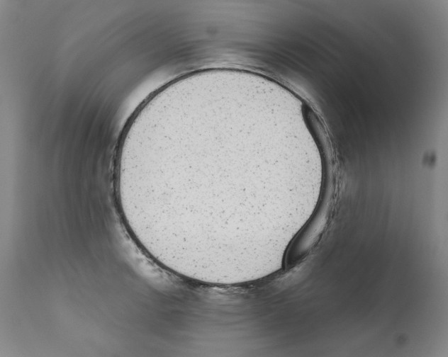 X0000110961138200907311100