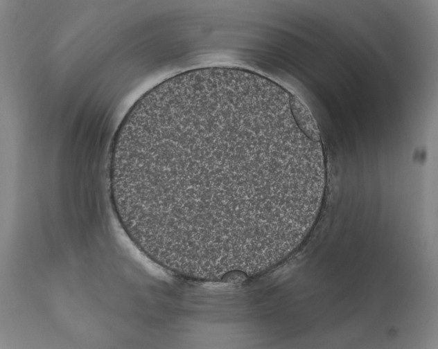 X0000110961142200907311100