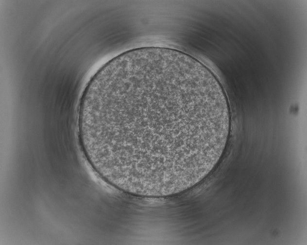 X0000110961144200907311100