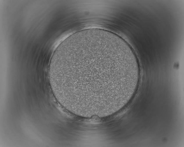 X0000110961145200907311100
