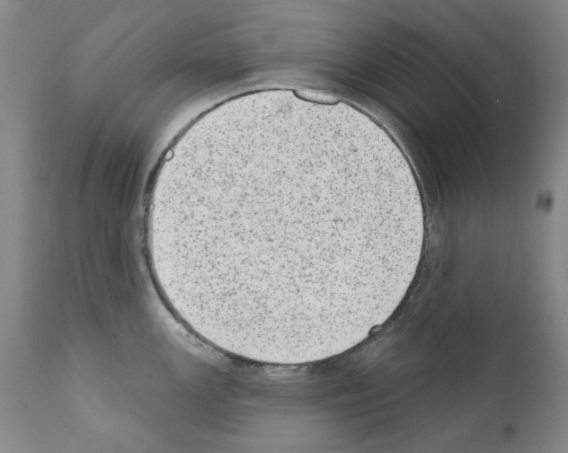 X0000110961147200907311100