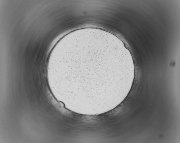 X0000110961148200907311100