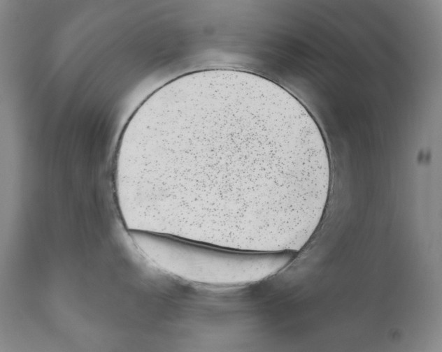 X0000110961152200907311100