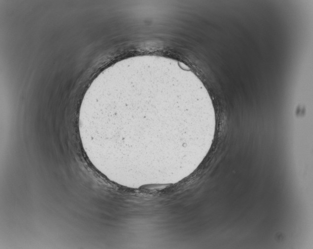 X0000110961153200907311059