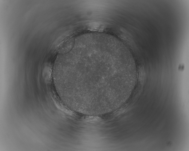 X0000110961154200907311059
