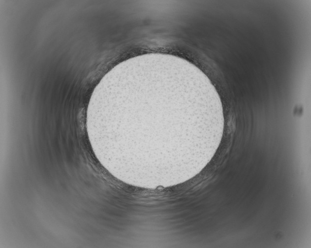 X0000110961156200907311059