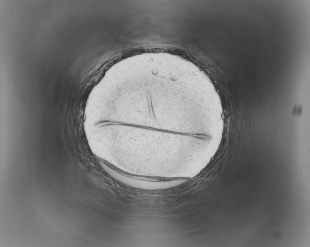 X0000110961157200907311059