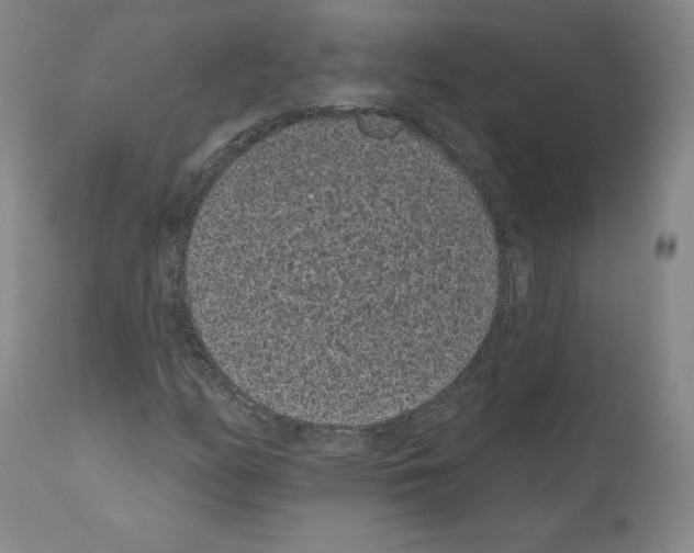 X0000110961158200907311059