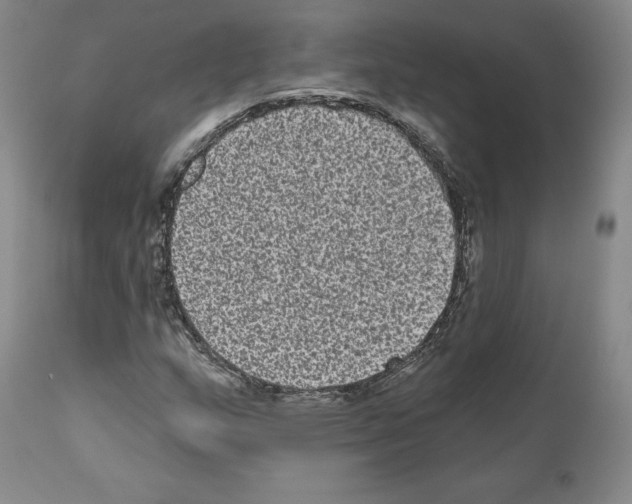 X0000110961159200907311059