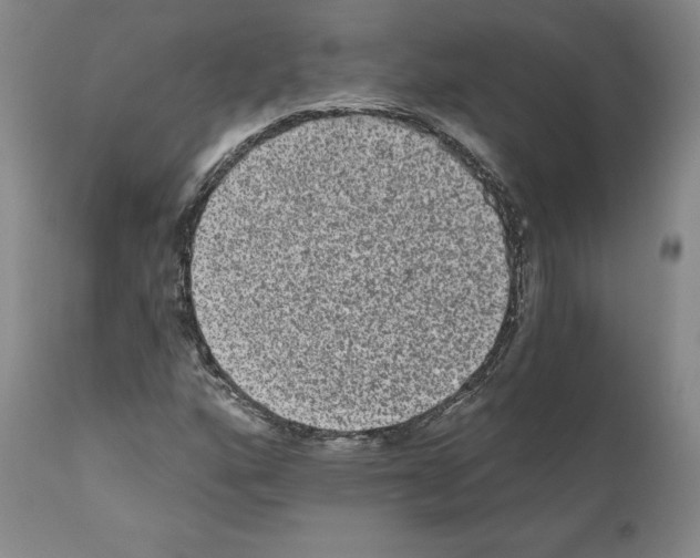 X0000110961160200907311059