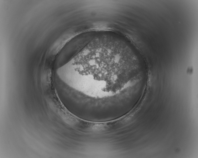 X0000110961161200907311059