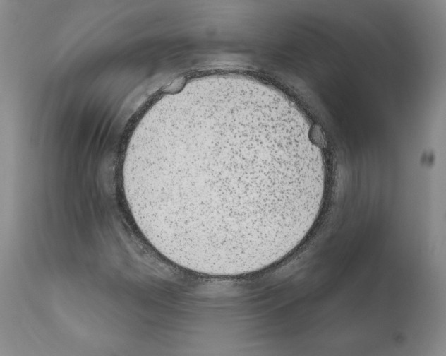 X0000110961162200907311059