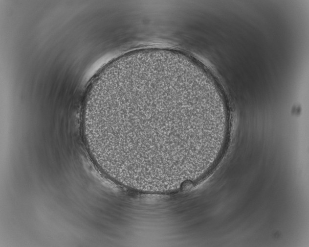 X0000110961163200907311059