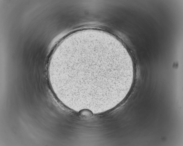 X0000110961164200907311059