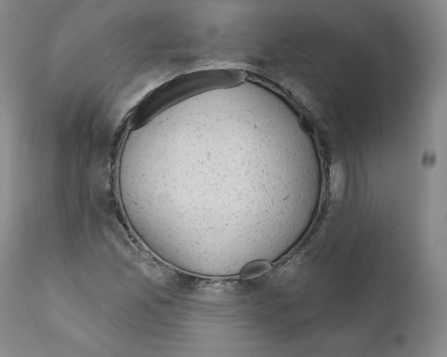 X0000110961165200907311059
