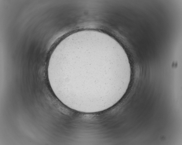 X0000110961166200907311059