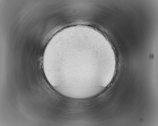 X0000110961169200907311059