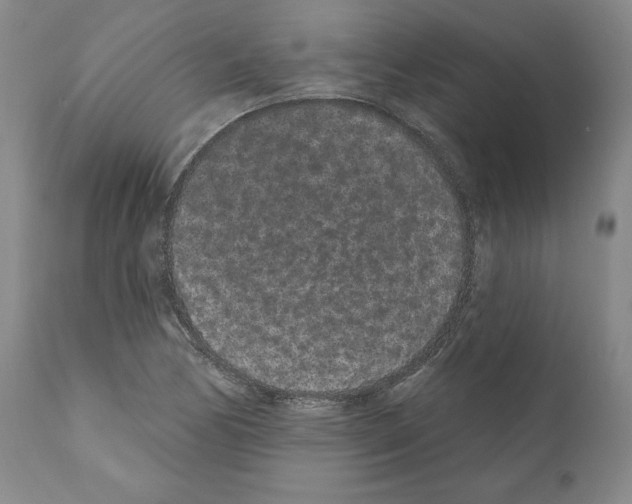 X0000110961170200907311059
