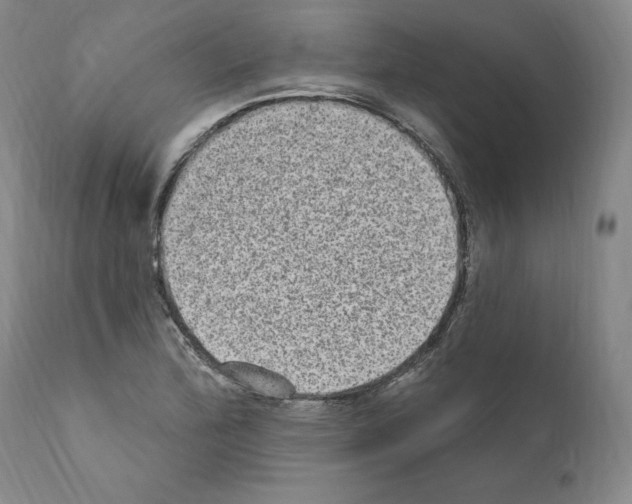 X0000110961172200907311059
