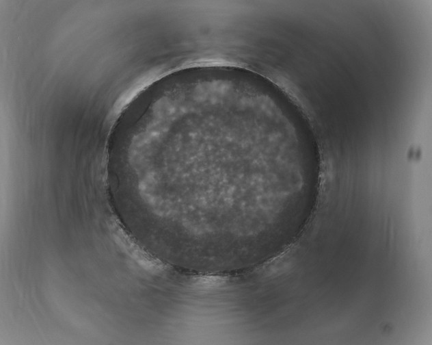 X0000110961173200907311059