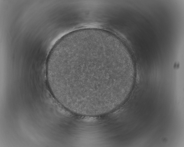 X0000110961174200907311059