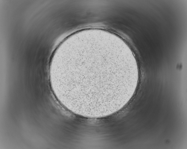 X0000110961176200907311059