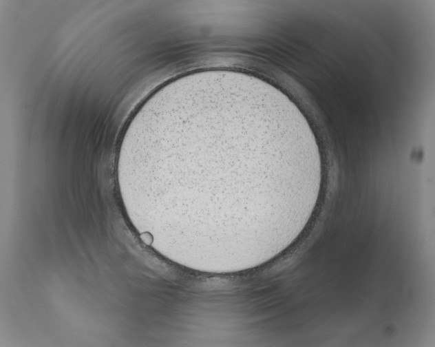 X0000110961178200907311059
