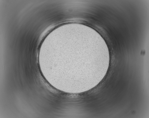 X0000110961180200907311059