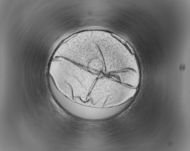X0000110961181200907311059
