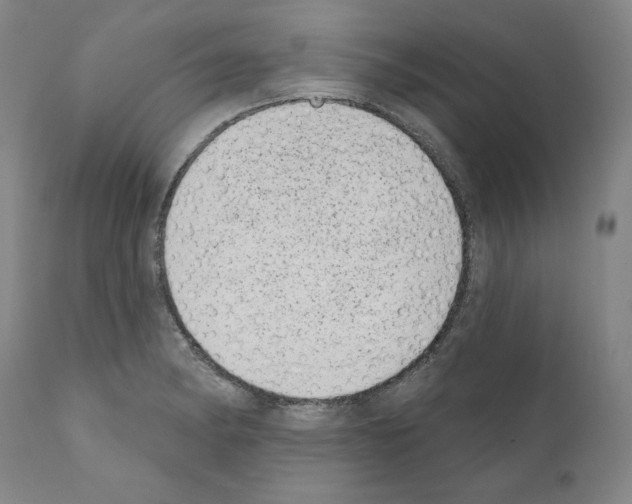 X0000110961182200907311059